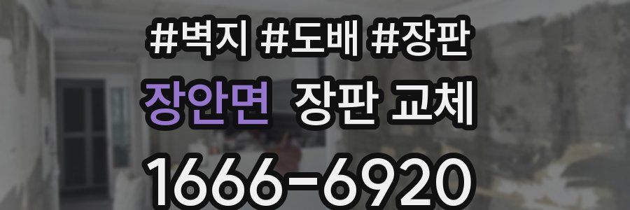 장안면 장판 교체