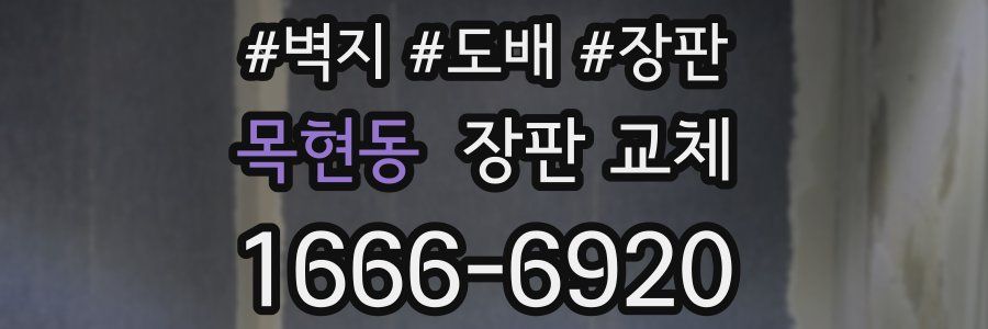 목현동 장판 교체