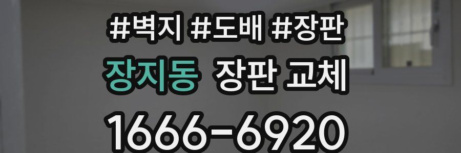 장지동 장판 교체