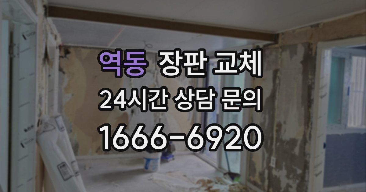 역동 장판 교체
