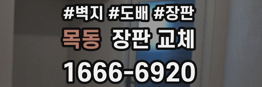 목동 장판 교체
