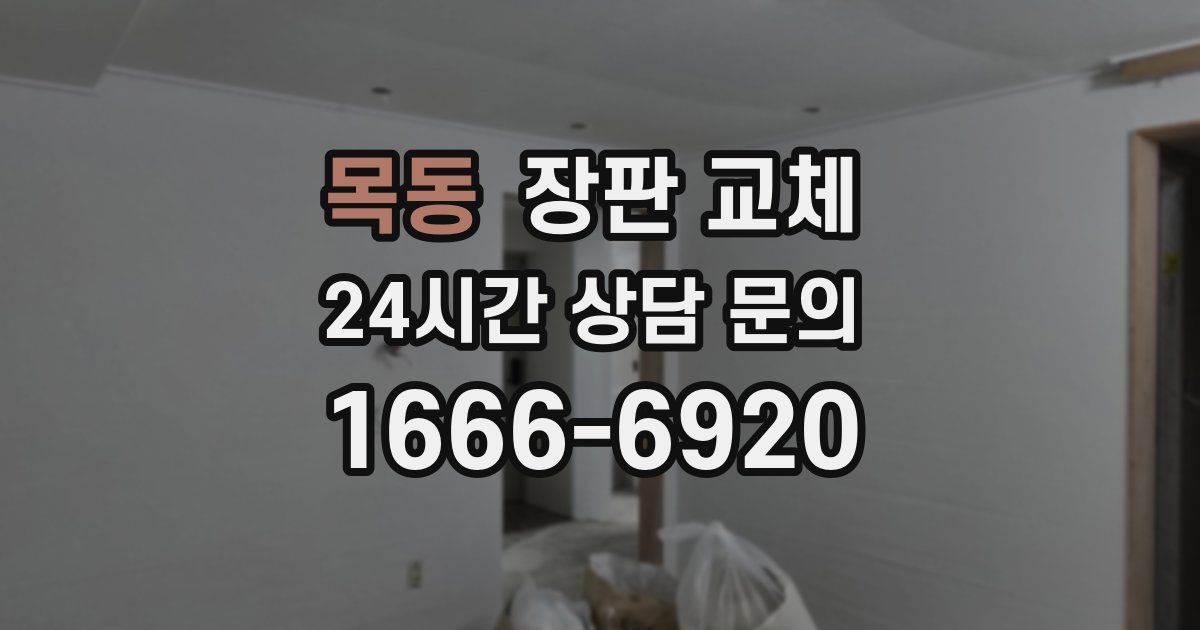 목동 장판 교체