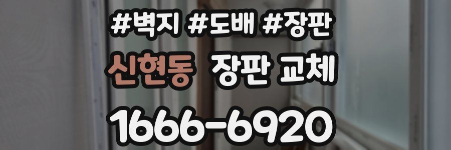 신현동 장판 교체