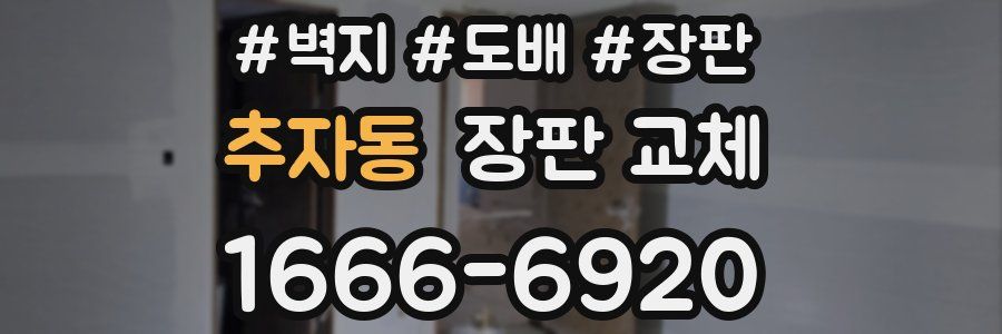 추자동 장판 교체