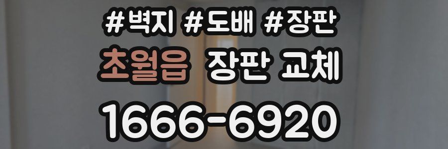 초월읍 장판 교체