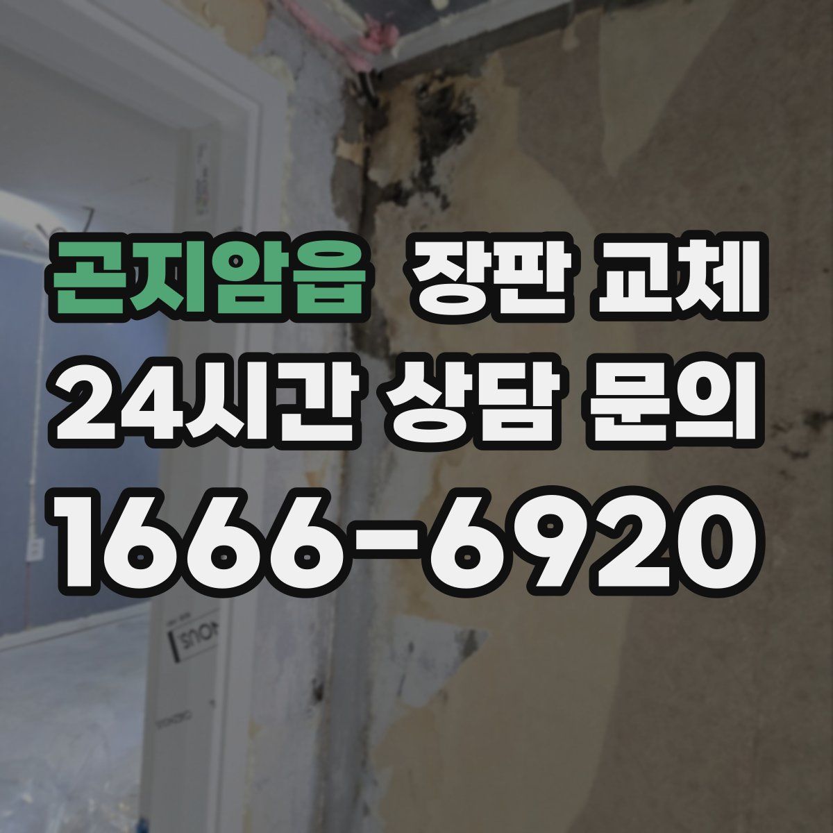 곤지암읍 장판 교체
