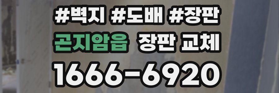 곤지암읍 장판 교체