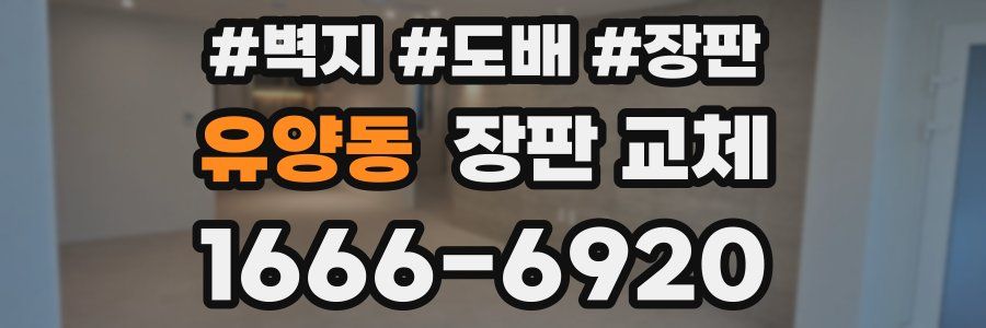 유양동 장판 교체