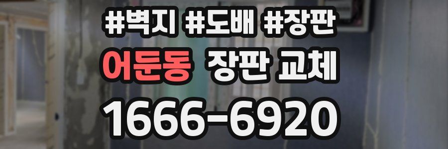 어둔동 장판 교체