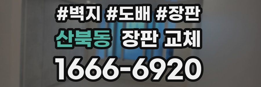 산북동 장판 교체