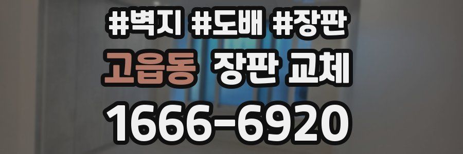 고읍동 장판 교체