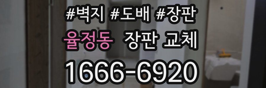 율정동 장판 교체