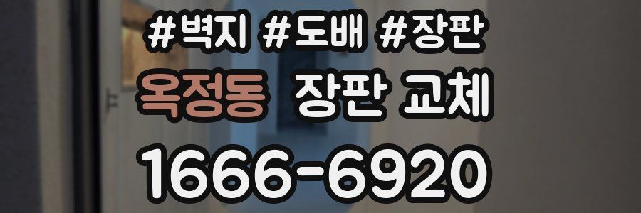 옥정동 장판 교체