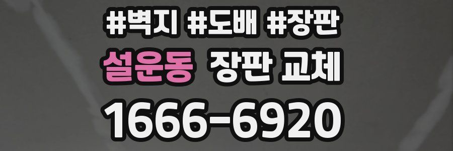 설운동 장판 교체
