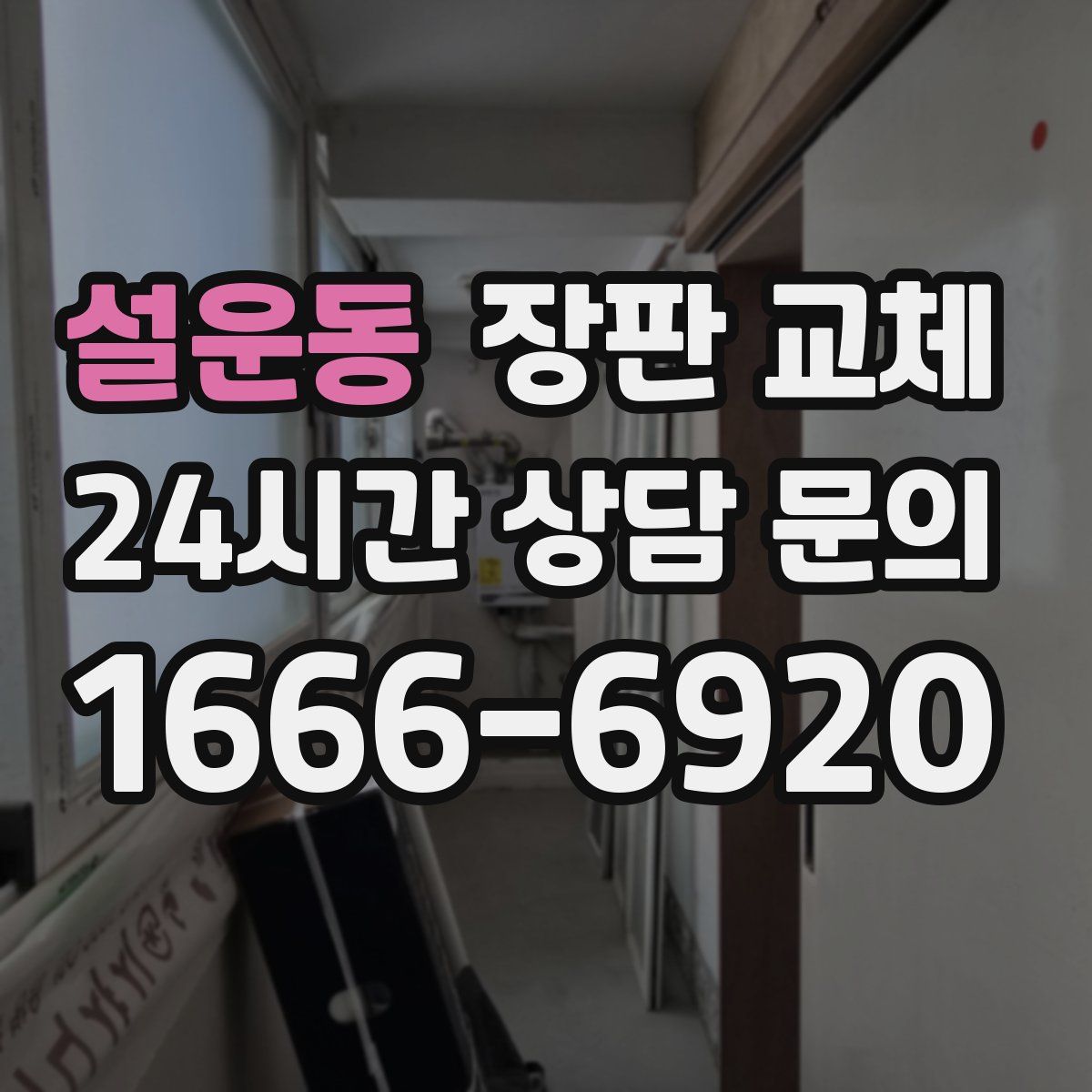 설운동 장판 교체