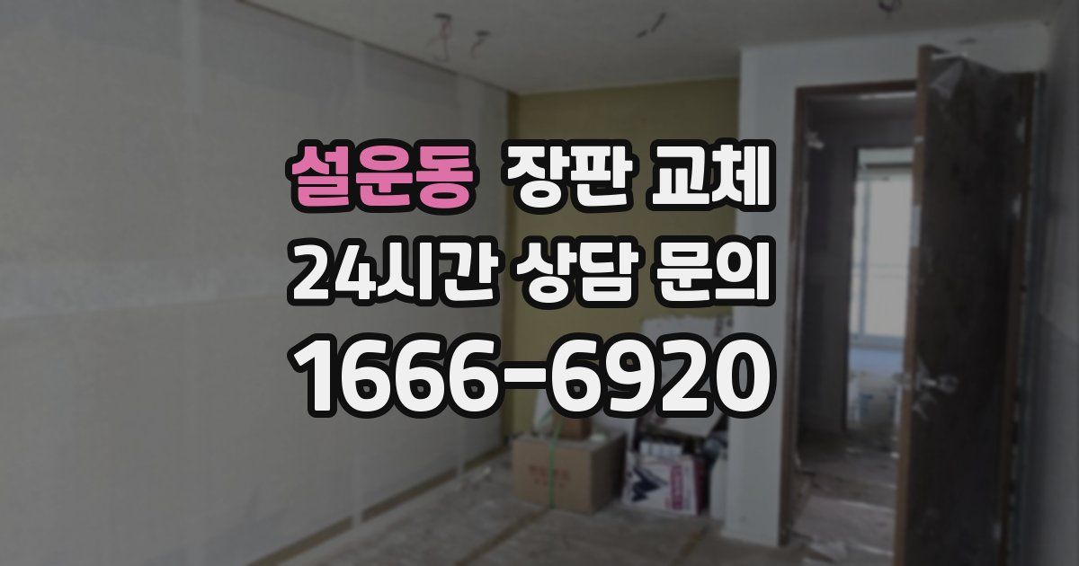설운동 장판 교체