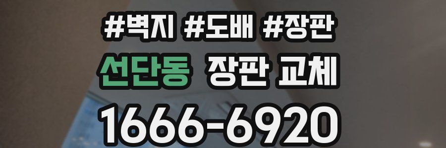 선단동 장판 교체