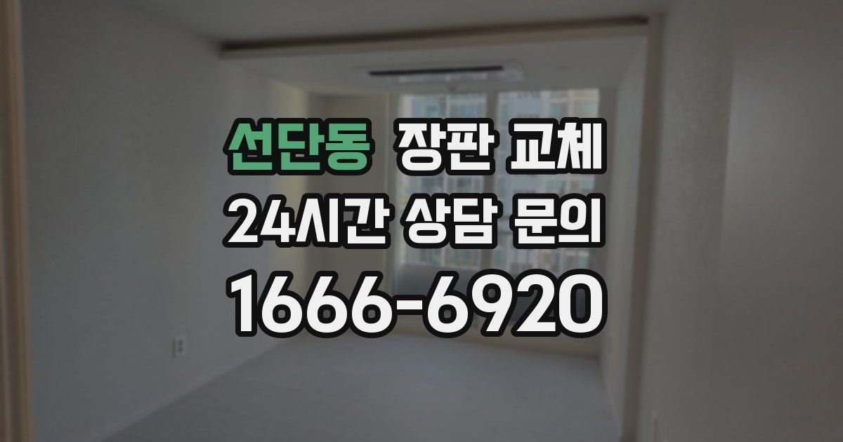 선단동 장판 교체