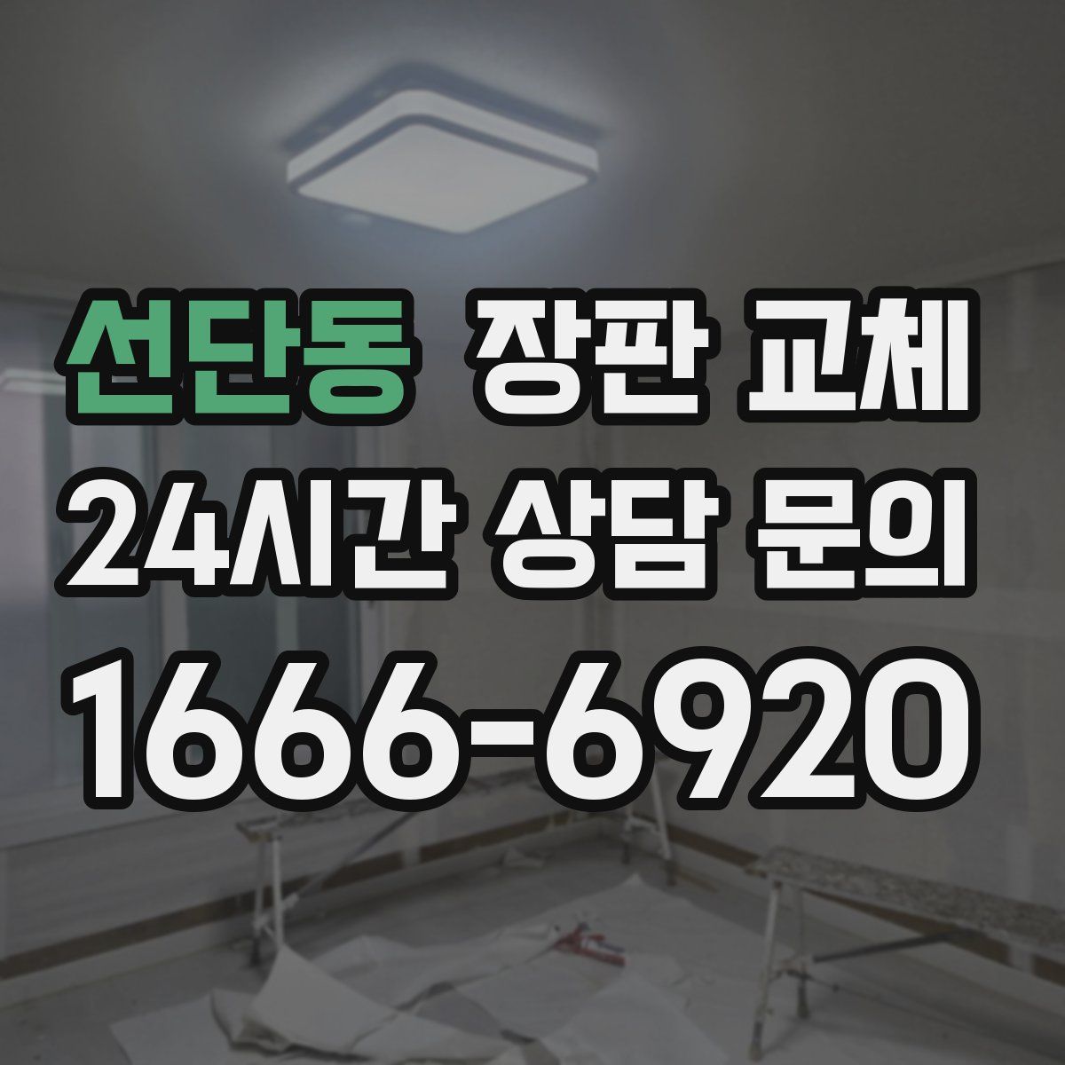 선단동 장판 교체