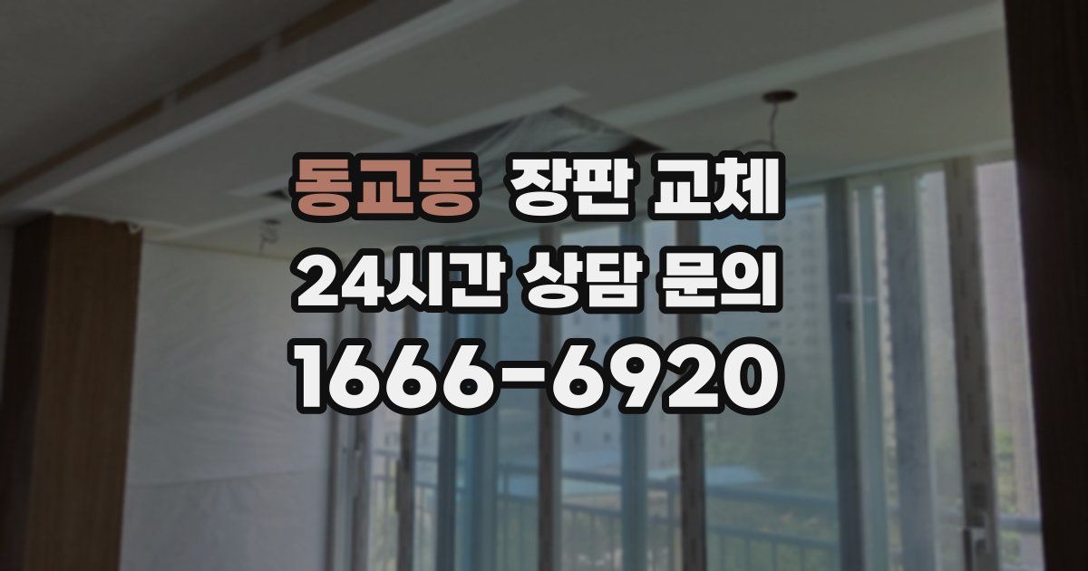 동교동 장판 교체