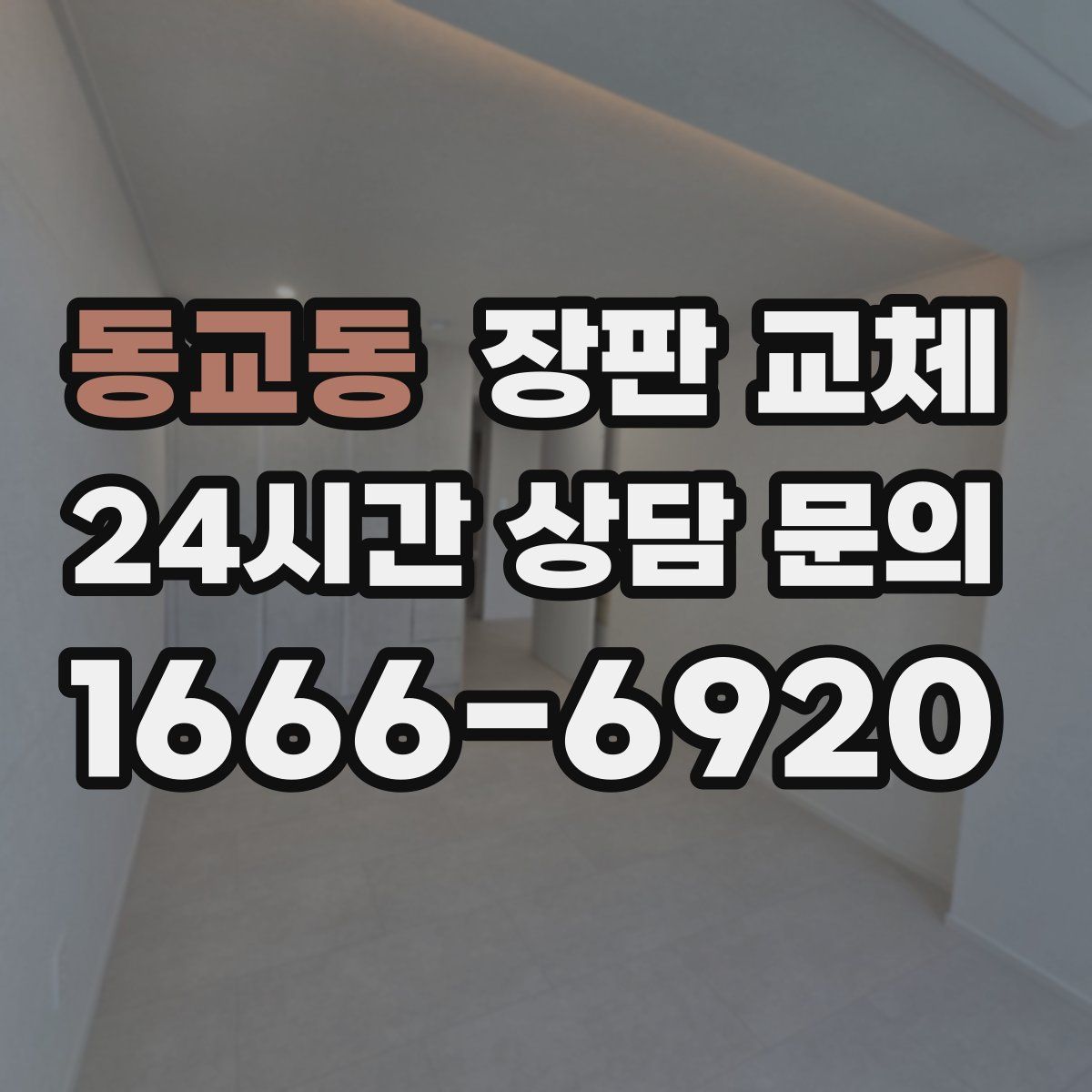 동교동 장판 교체