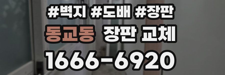 동교동 장판 교체
