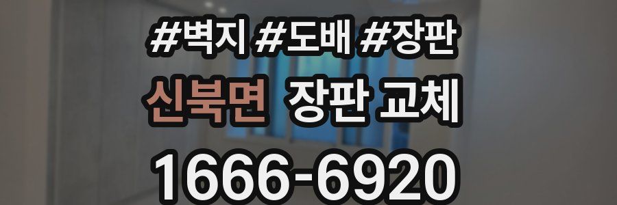 신북면 장판 교체