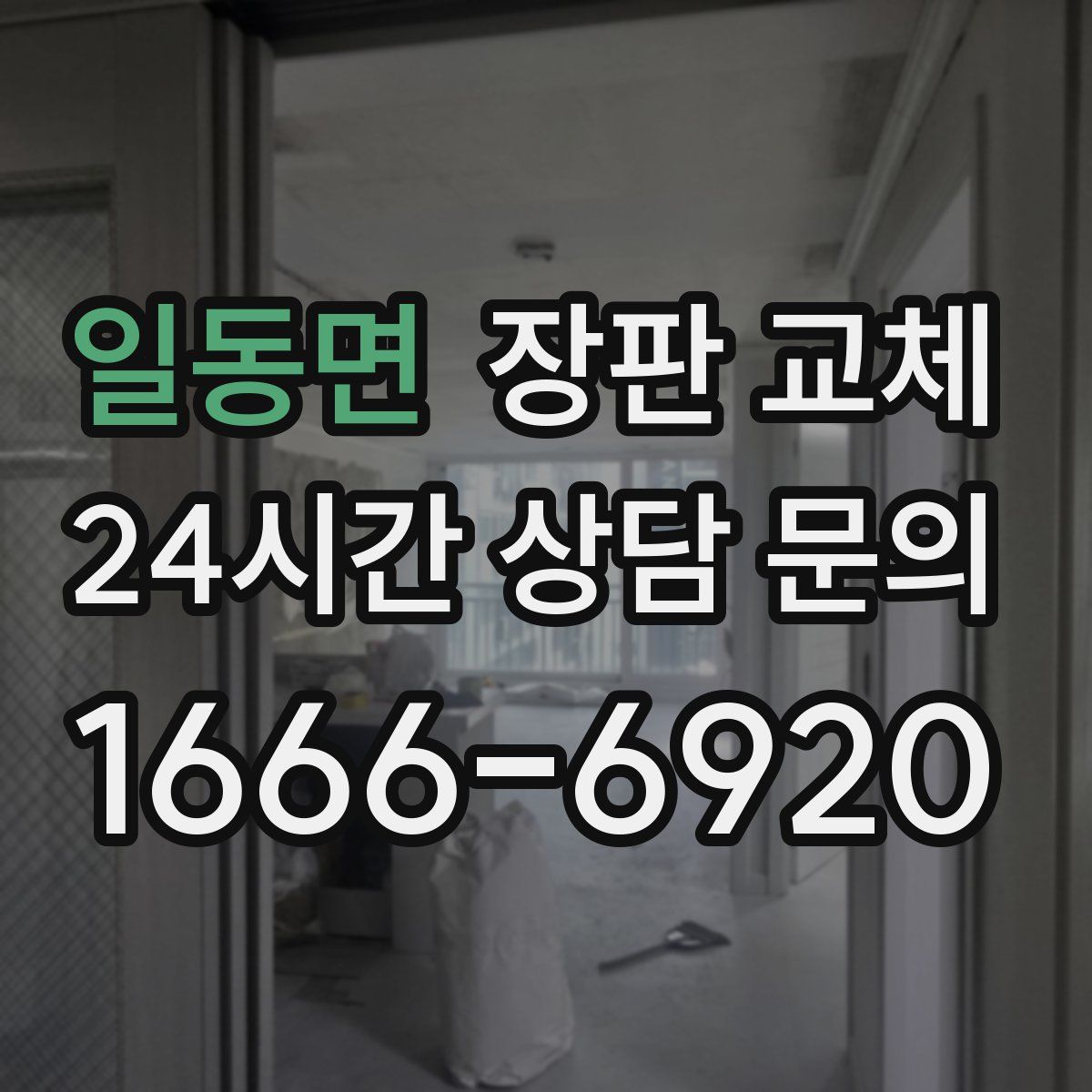 일동면 장판 교체