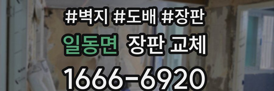 일동면 장판 교체