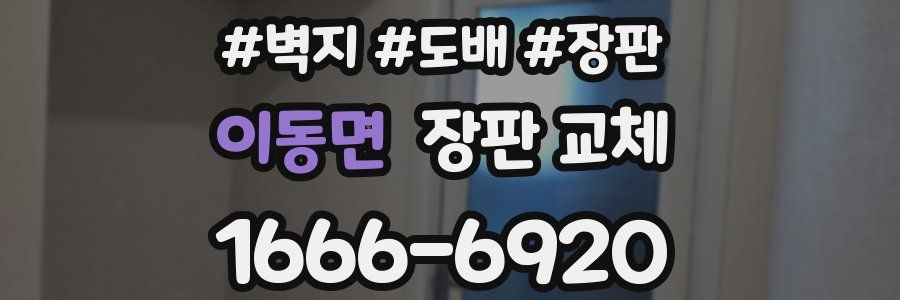 이동면 장판 교체