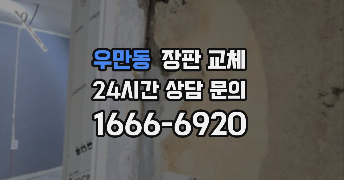 우만동 장판 교체