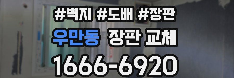 우만동 장판 교체