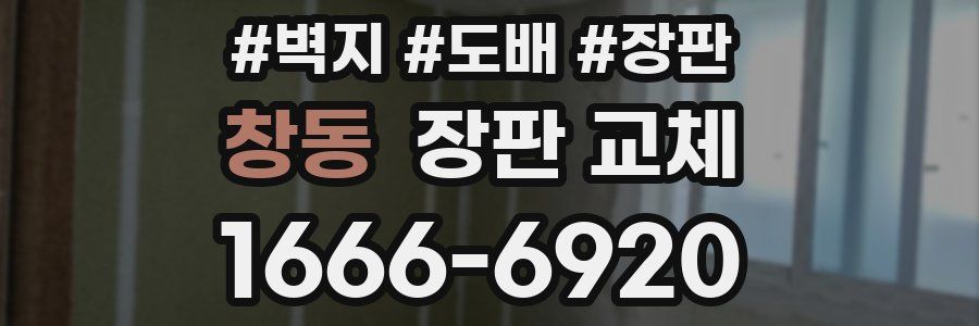 창동 장판 교체
