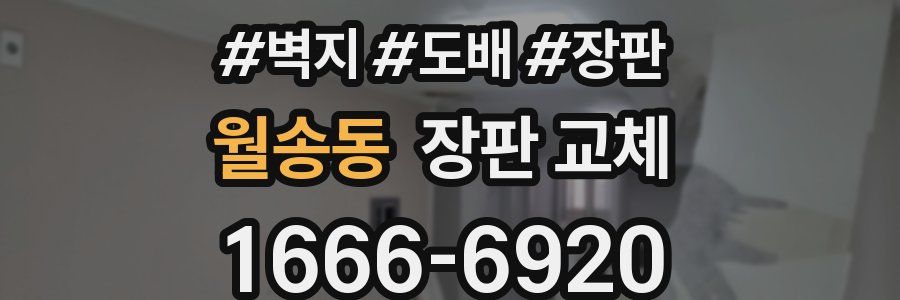월송동 장판 교체
