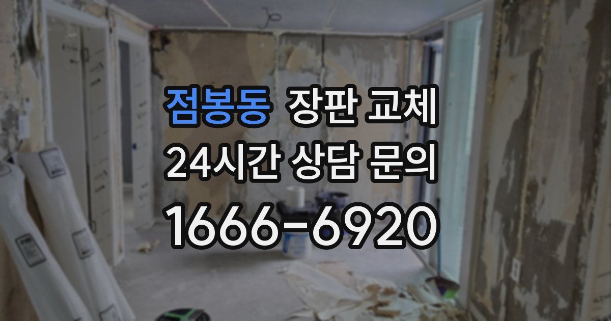 점봉동 장판 교체