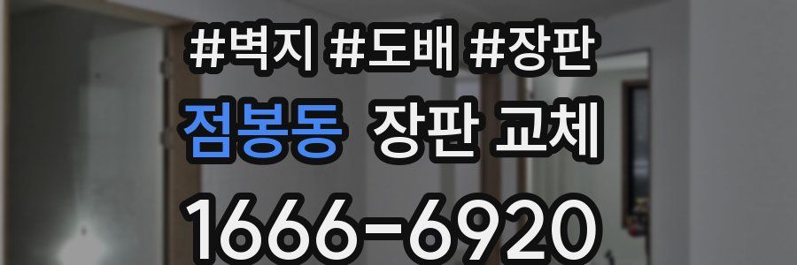 점봉동 장판 교체