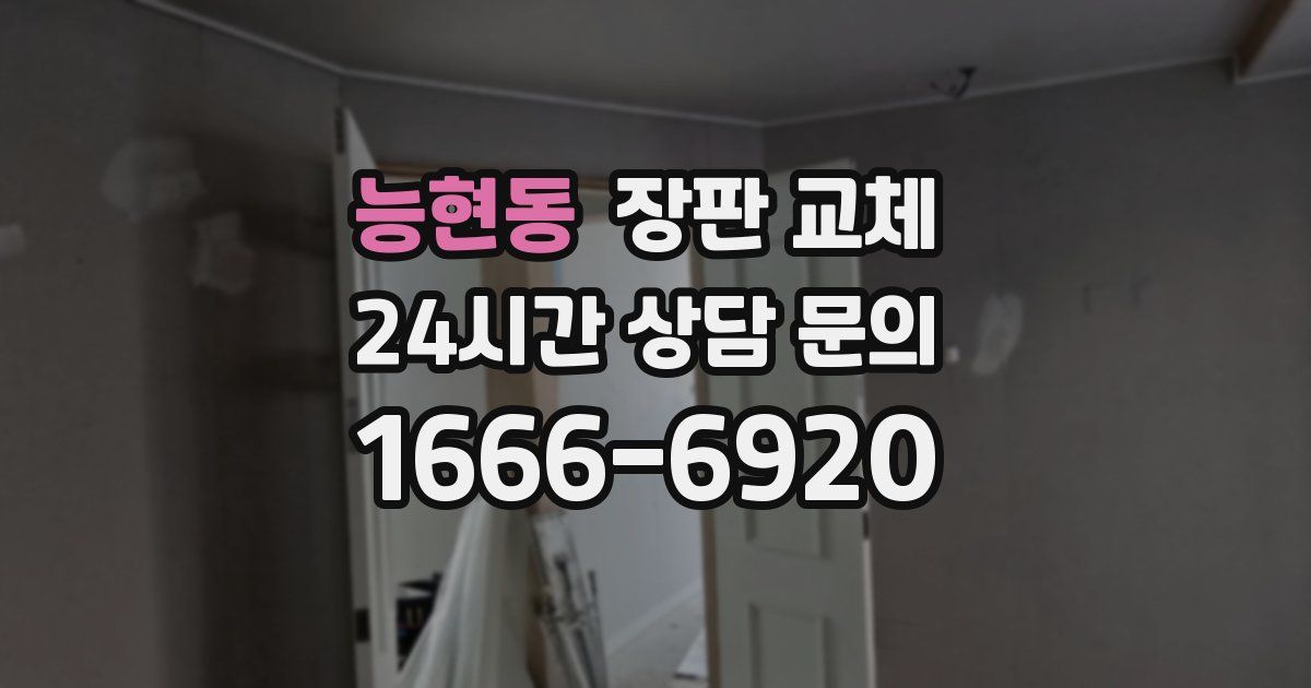 능현동 장판 교체