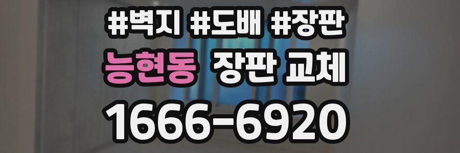 능현동 장판 교체