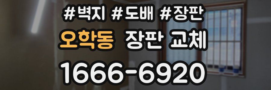 오학동 장판 교체