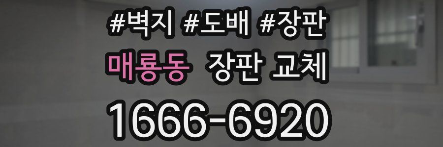 매룡동 장판 교체