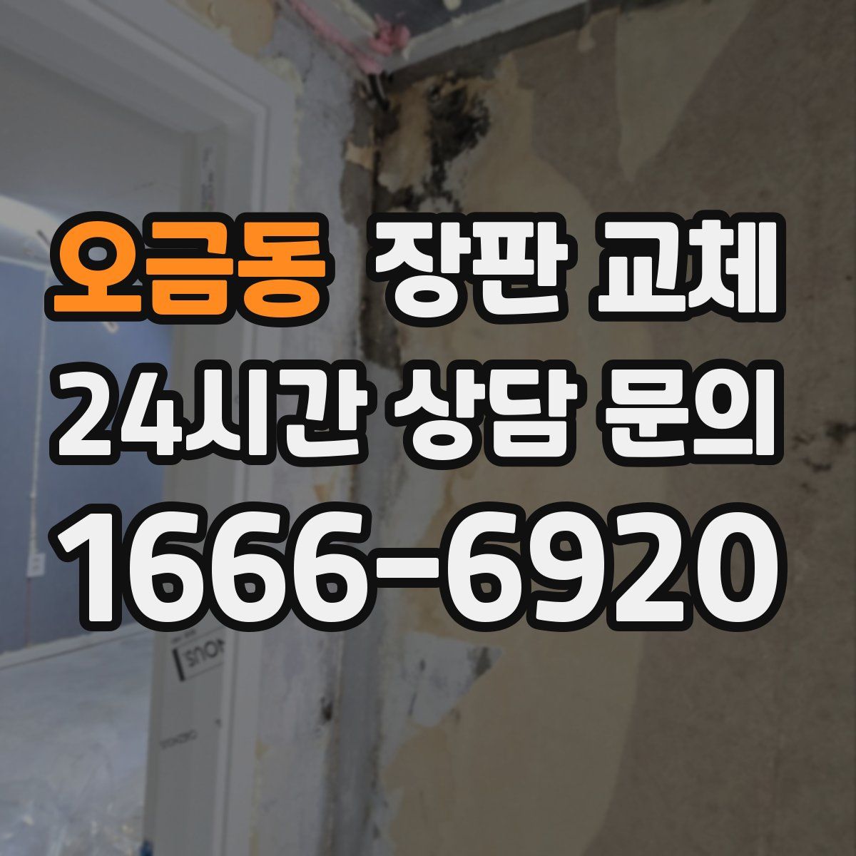 오금동 장판 교체