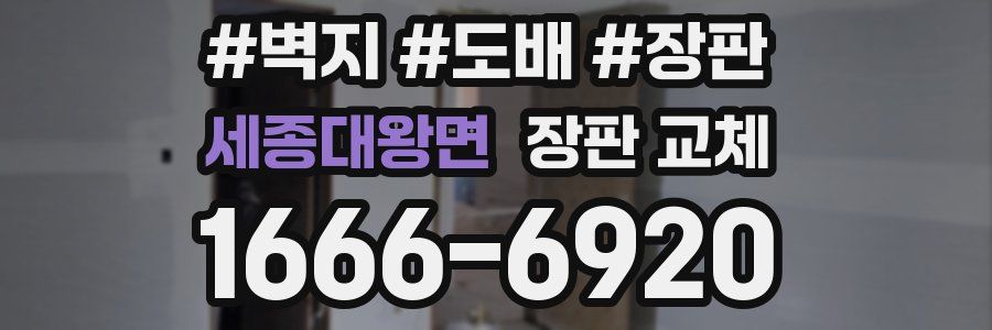 세종대왕면 장판 교체