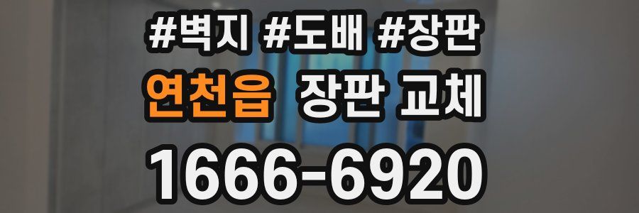 연천읍 장판 교체