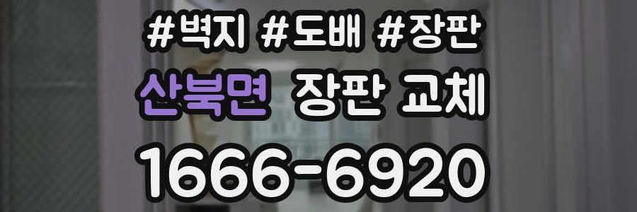 산북면 장판 교체