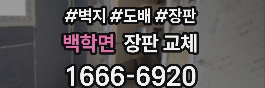 백학면 장판 교체