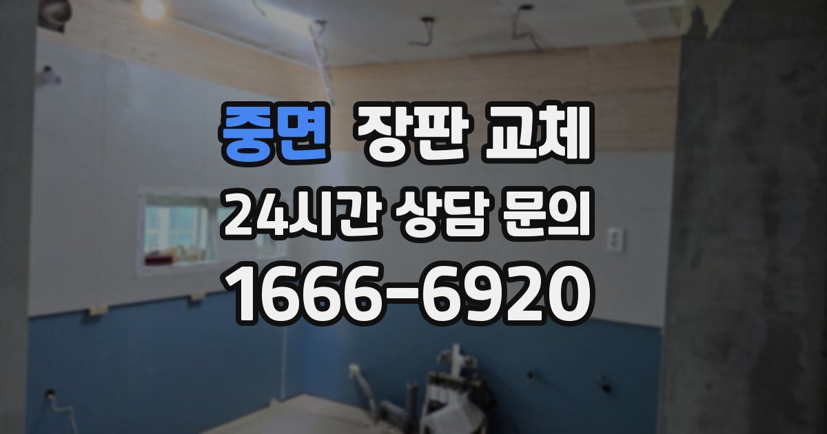 중면 장판 교체