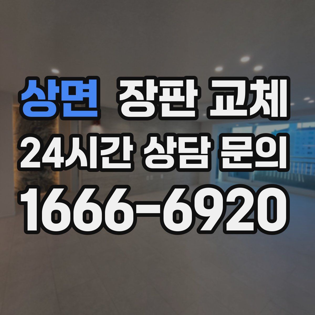 상면 장판 교체
