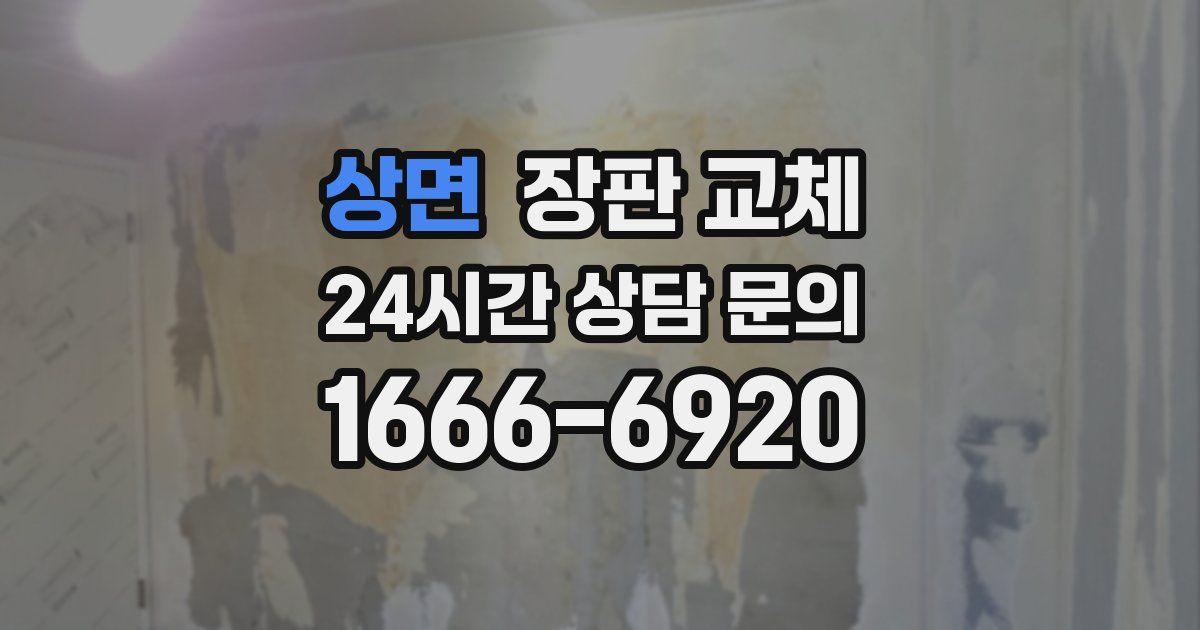 상면 장판 교체