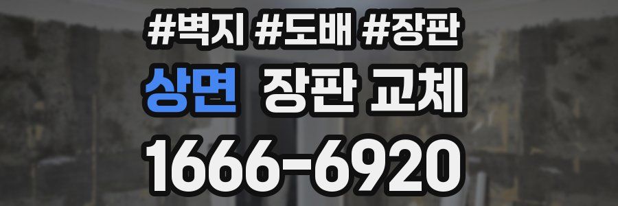 상면 장판 교체