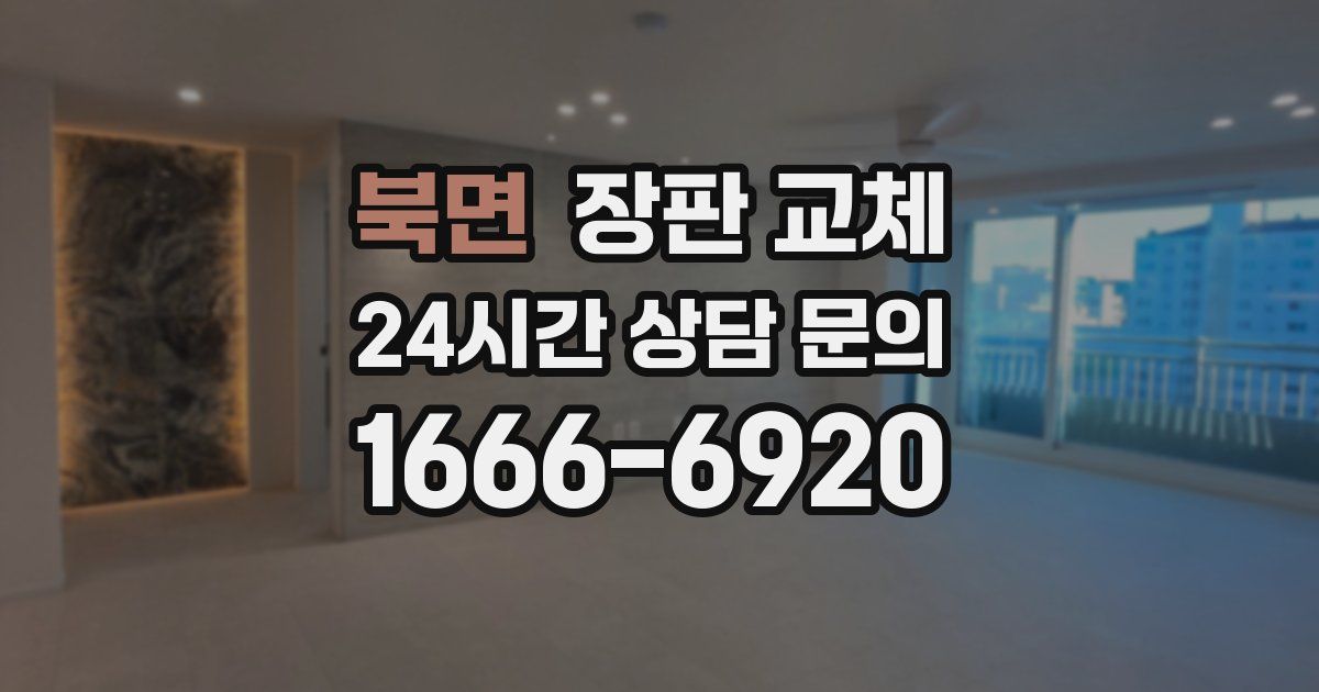 북면 장판 교체